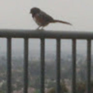 Meet your Posher, Jacque